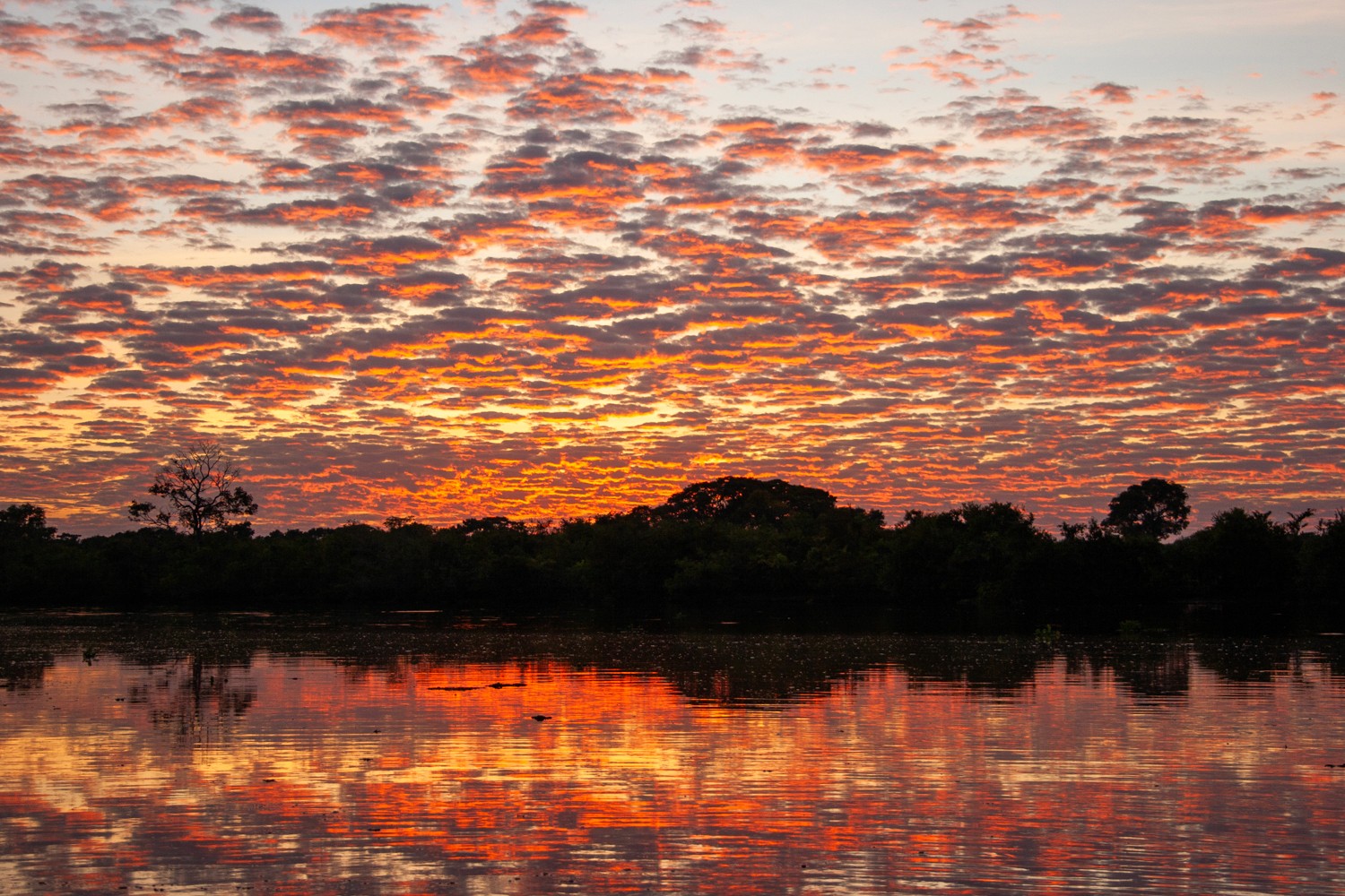 Sunset over the Paraguay River with clouds reflecting perfectly on the calm water, creating a mirror-like effect. The sky is painted in warm hues of orange, grey, and purple, which are mirrored in the river, while the distant riverbanks are silhouetted against the colorful sky, adding depth and tranquility to the scene. Sonnenuntergang über dem Paraguai-Fluss, wobei sich die Wolken perfekt auf dem ruhigen Wasser spiegeln und einen spiegelähnlichen Effekt erzeugen. Der Himmel ist in warme Orangetöne, Grau- und Lilanuancen getaucht, die sich im Fluss widerspiegeln, während die entfernten Ufer gegen den bunten Himmel silhouettiert sind und der Szene Tiefe und Ruhe verleihen. Pantanal.