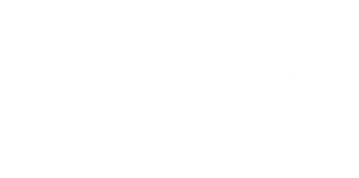 puma.original