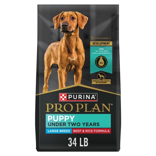 Purina Pro Plan Development Beef & Rice Formula High Protein Large Breed Dry Puppy Food