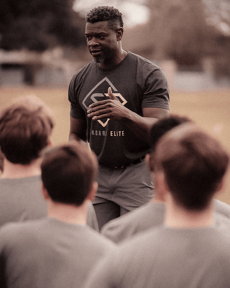 A majestic lion with a full mane stares intensely forward.