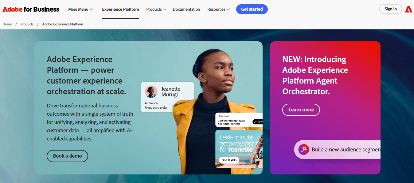  Adobe Experience Platform