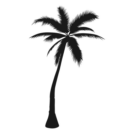 palm tree silhouette