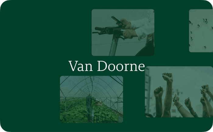 Mr.Prezident | Cases | Van Doorne