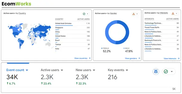 Coozmoo EcomWorks report for Customer behavior