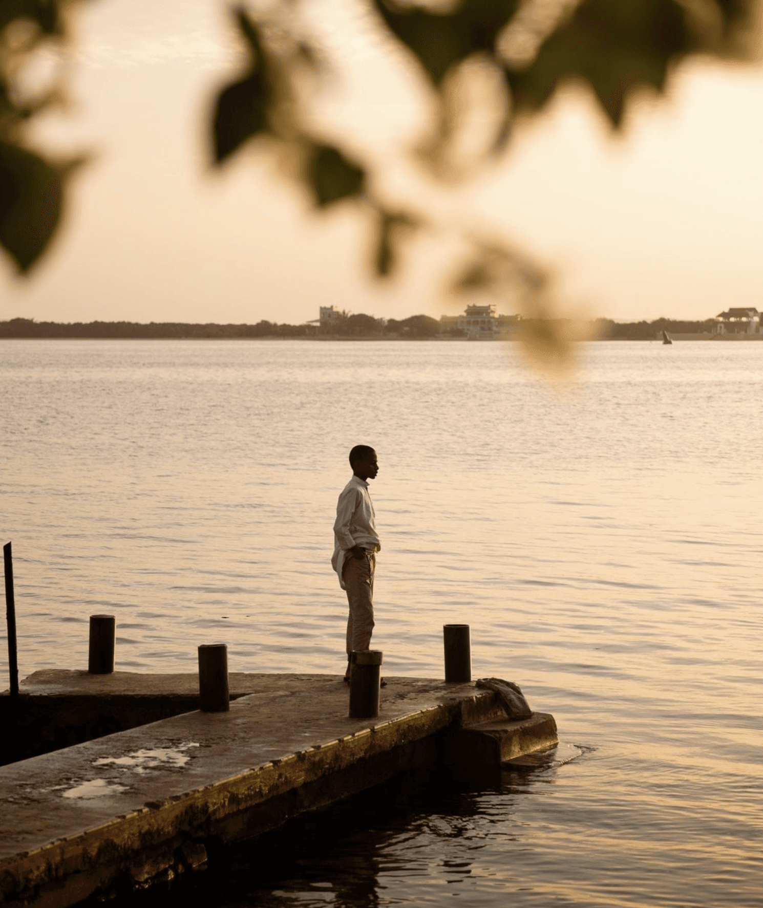 Foodpairing with chef Aljmo and Dom Pérignon P2