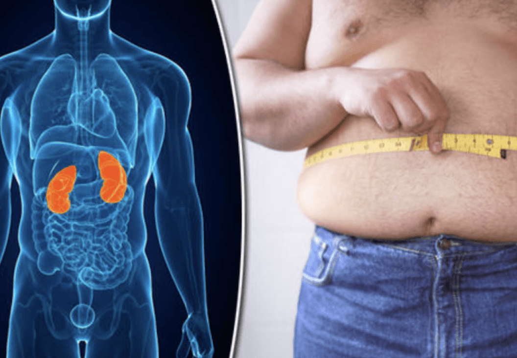 medical illustration highlighting kidneys and their role in overall health