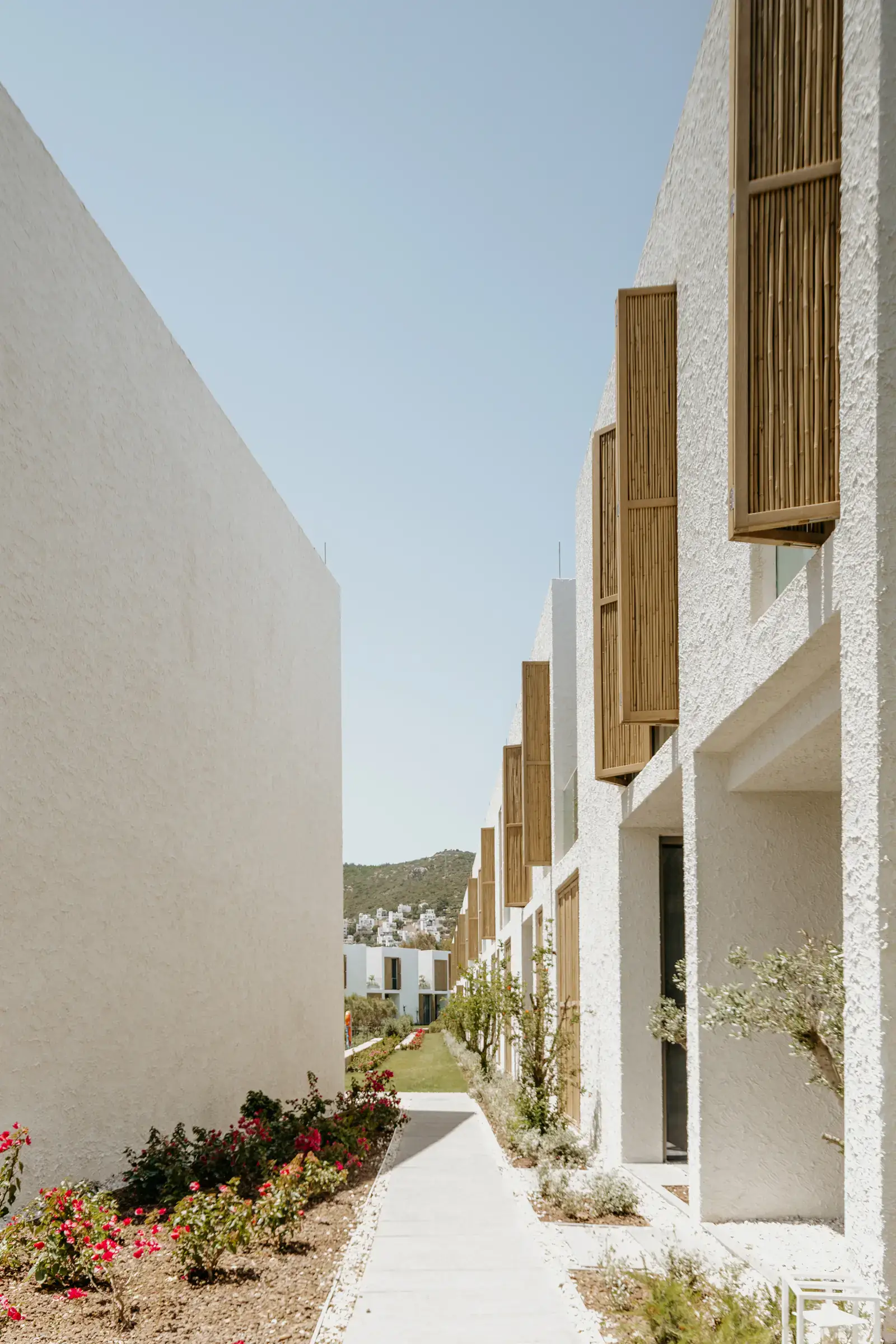 Path between a white wall and a timber-shuttered façade