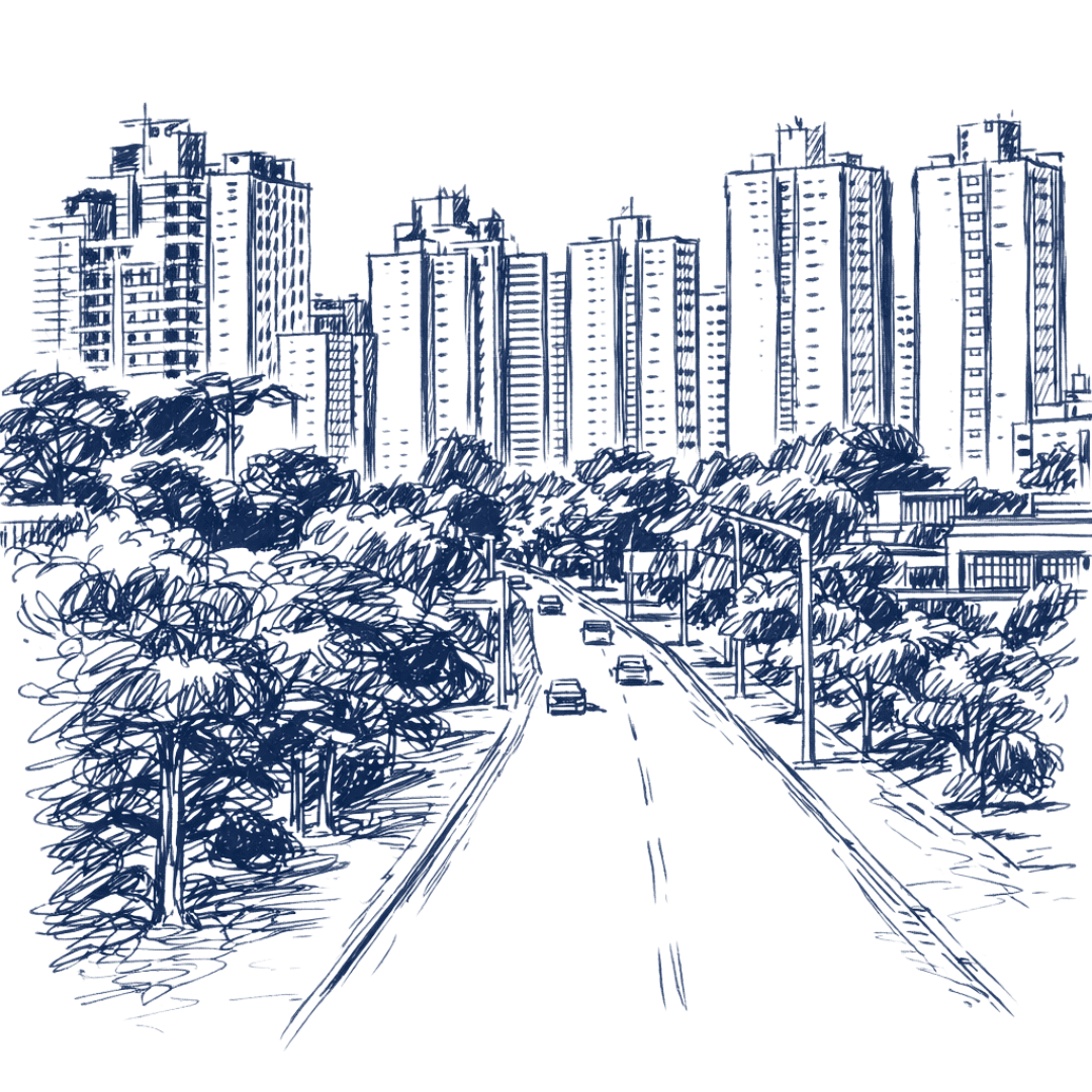 Copa de um pinheiro-do-paraná, árvore símbolo do estado do Paraná.