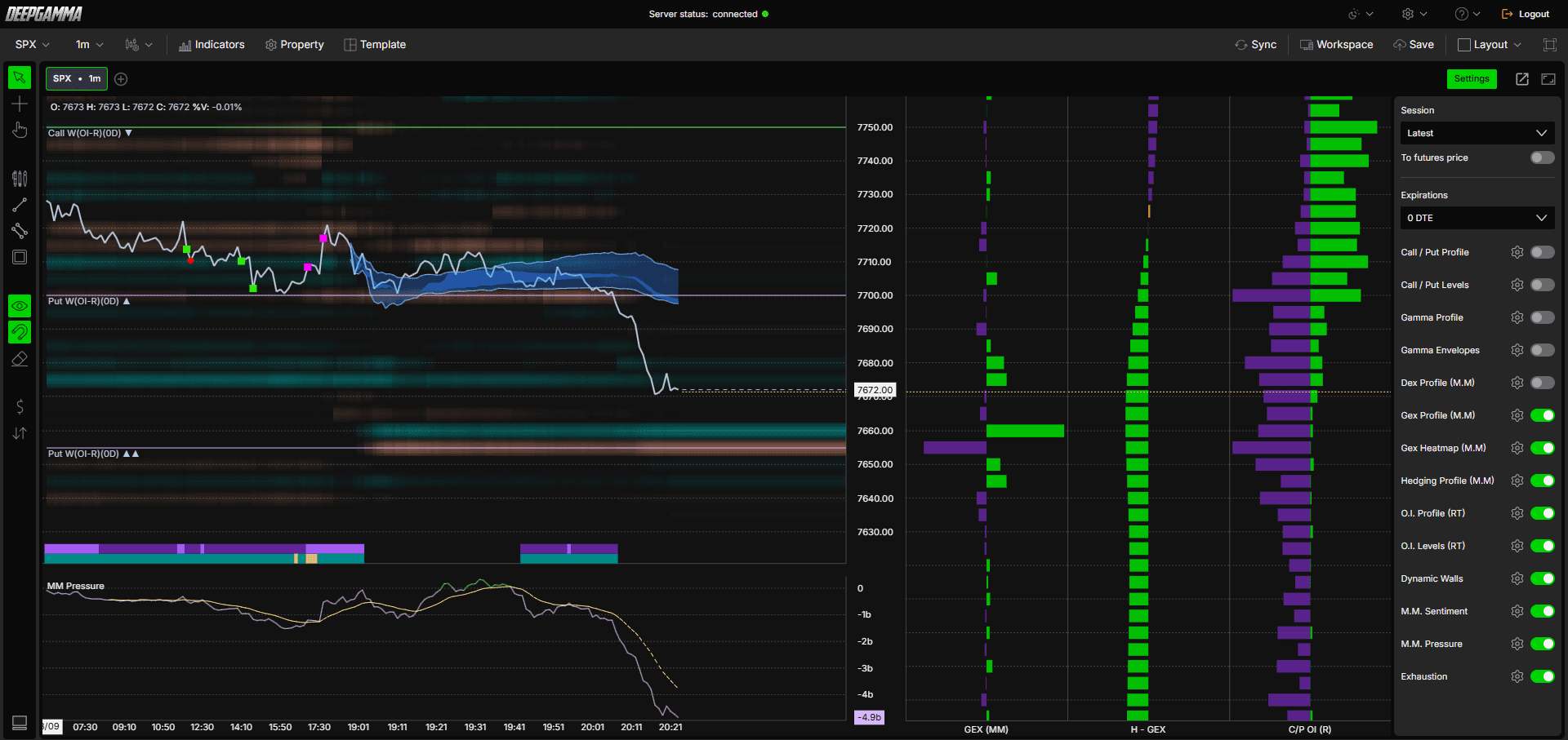DeepGamma Web - Platform Overview. Platform interface screenshot 1.