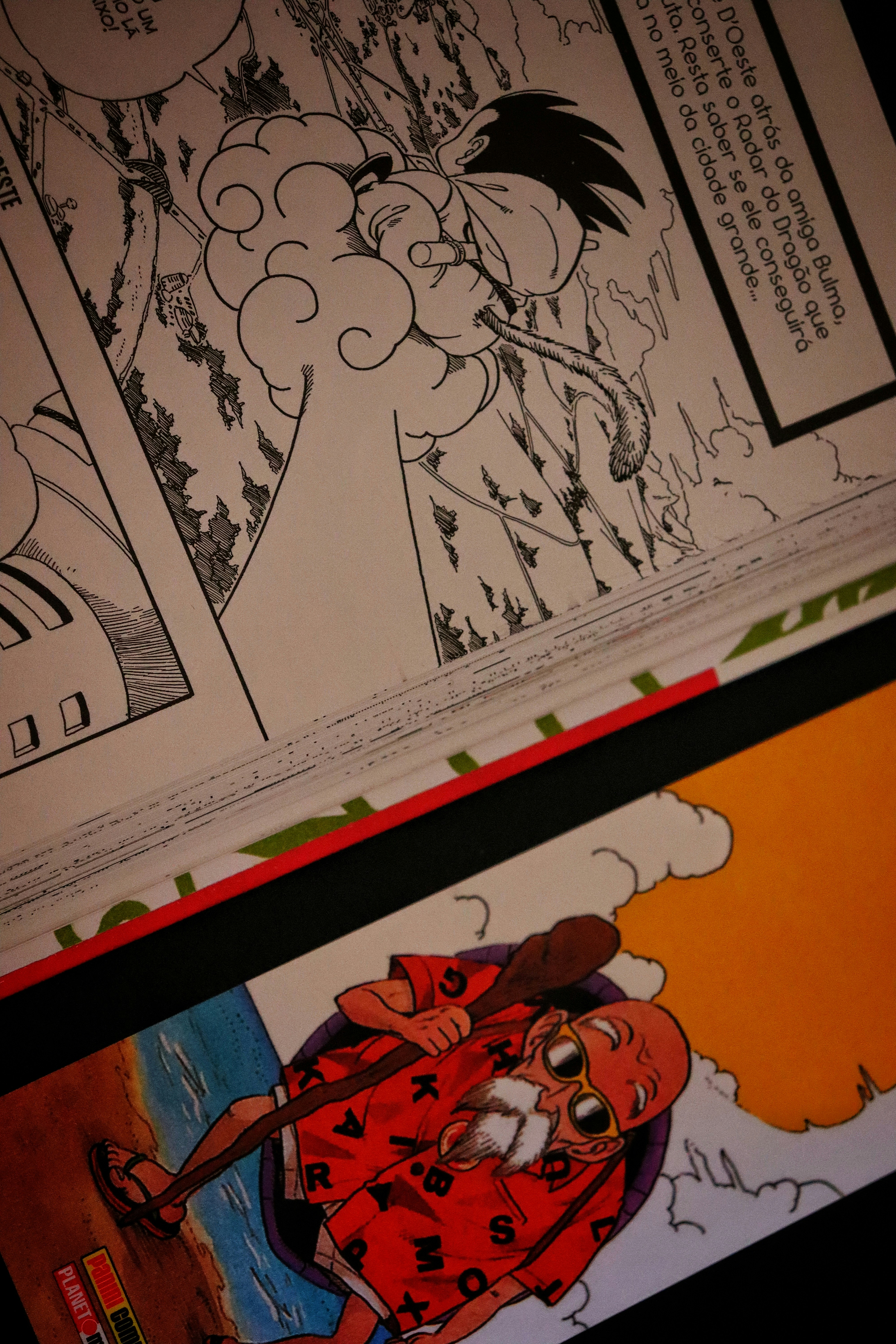 Manga panels with master roshi and goku in-action characters.