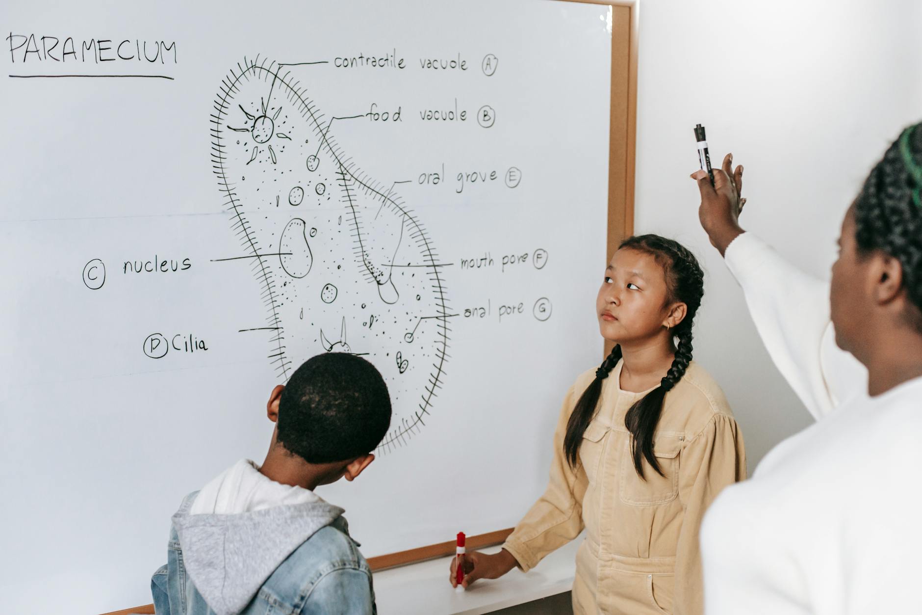 A young boy drawing a complex 3D geometric shape on a large sheet of paper using colorful markers.
