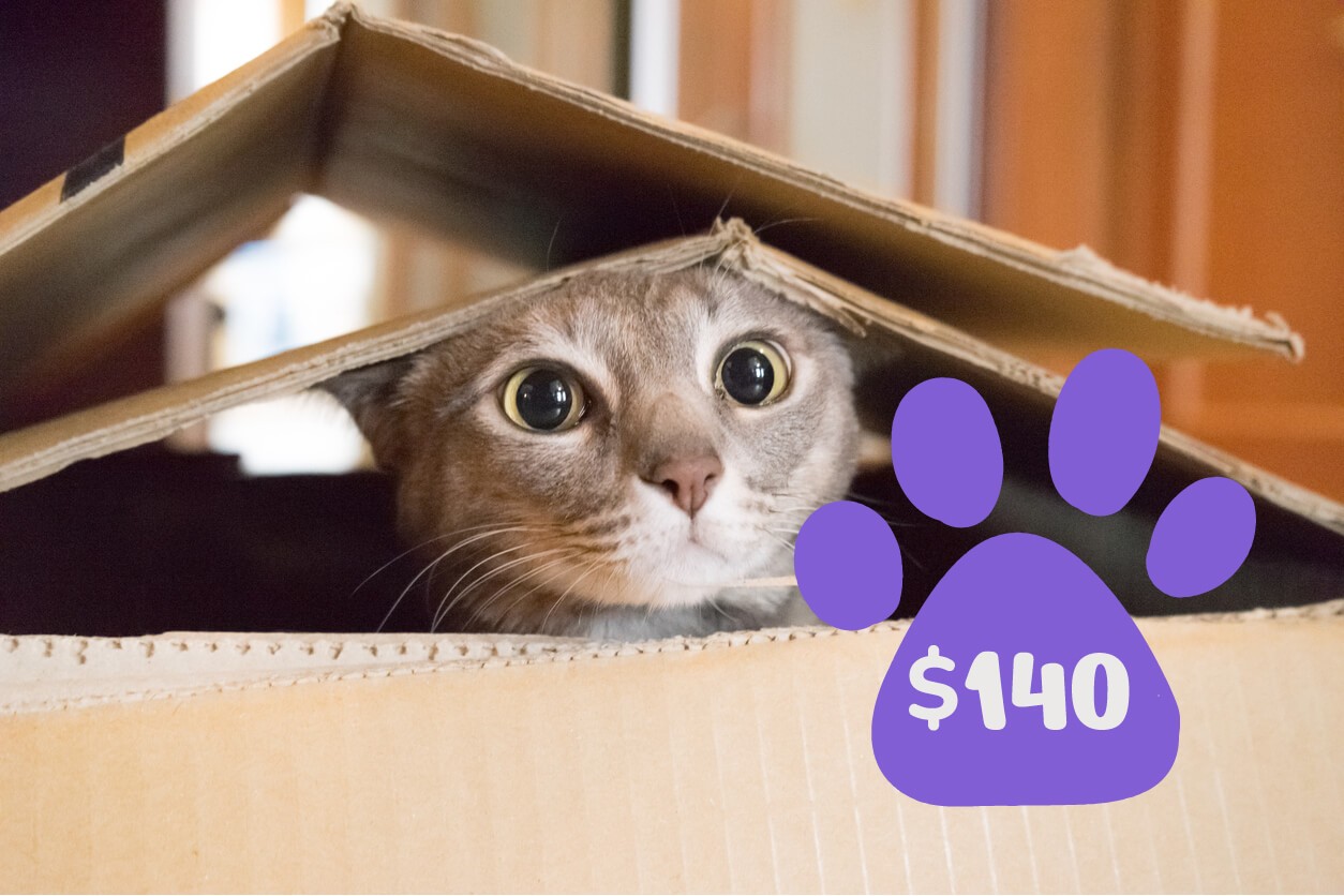 donation $140