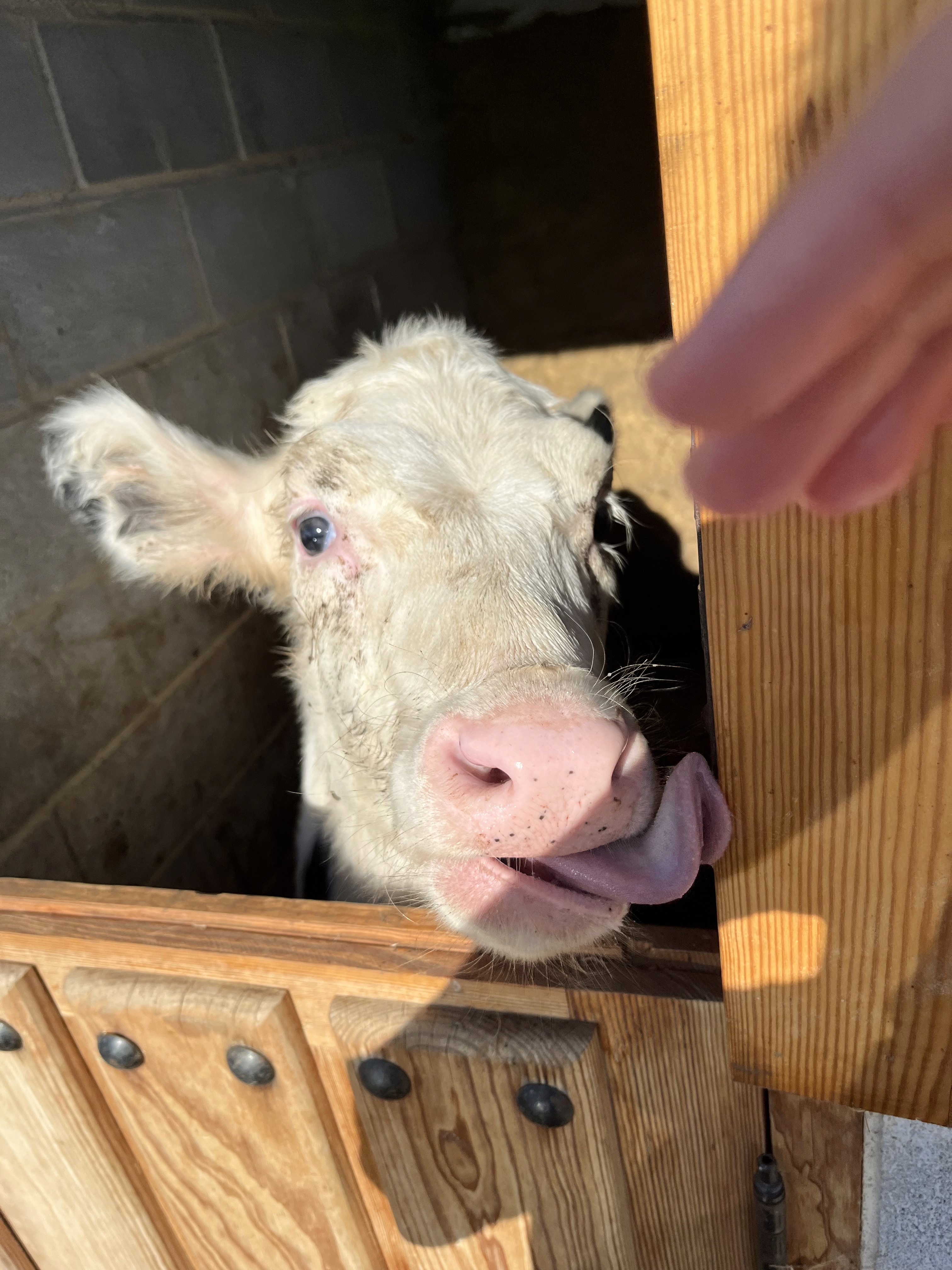 The image featured at the top of the about us page #2