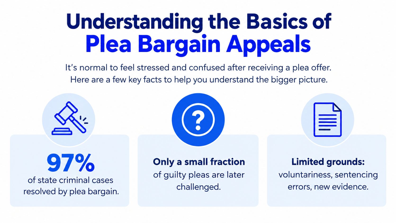 An infographic titled Understanding the Basics of Plea Bargain Appeals highlighting key statistics and legal facts.