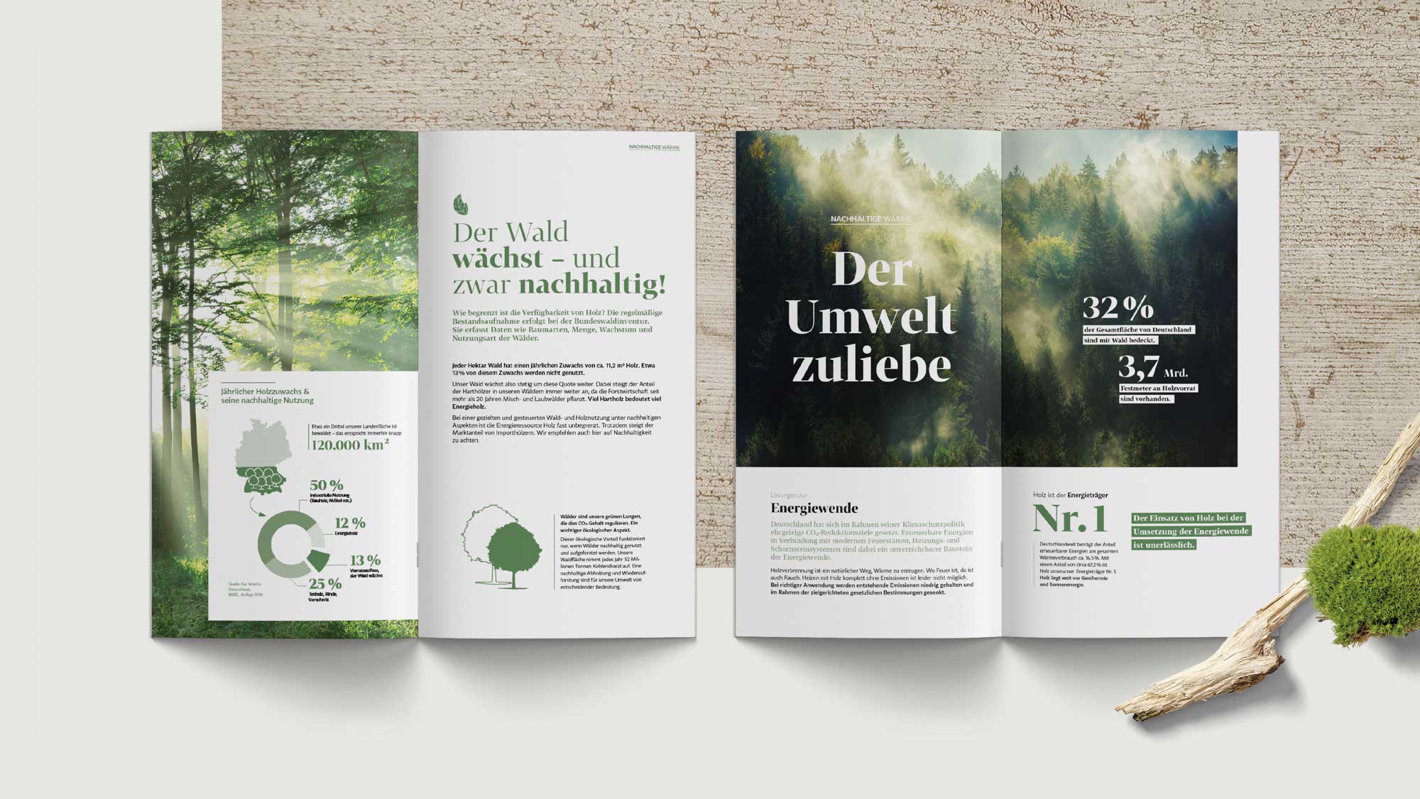 Infoseite aus der Ofenrat-Broschüre – Feinstaub und Emissionen verständlich visualisiert