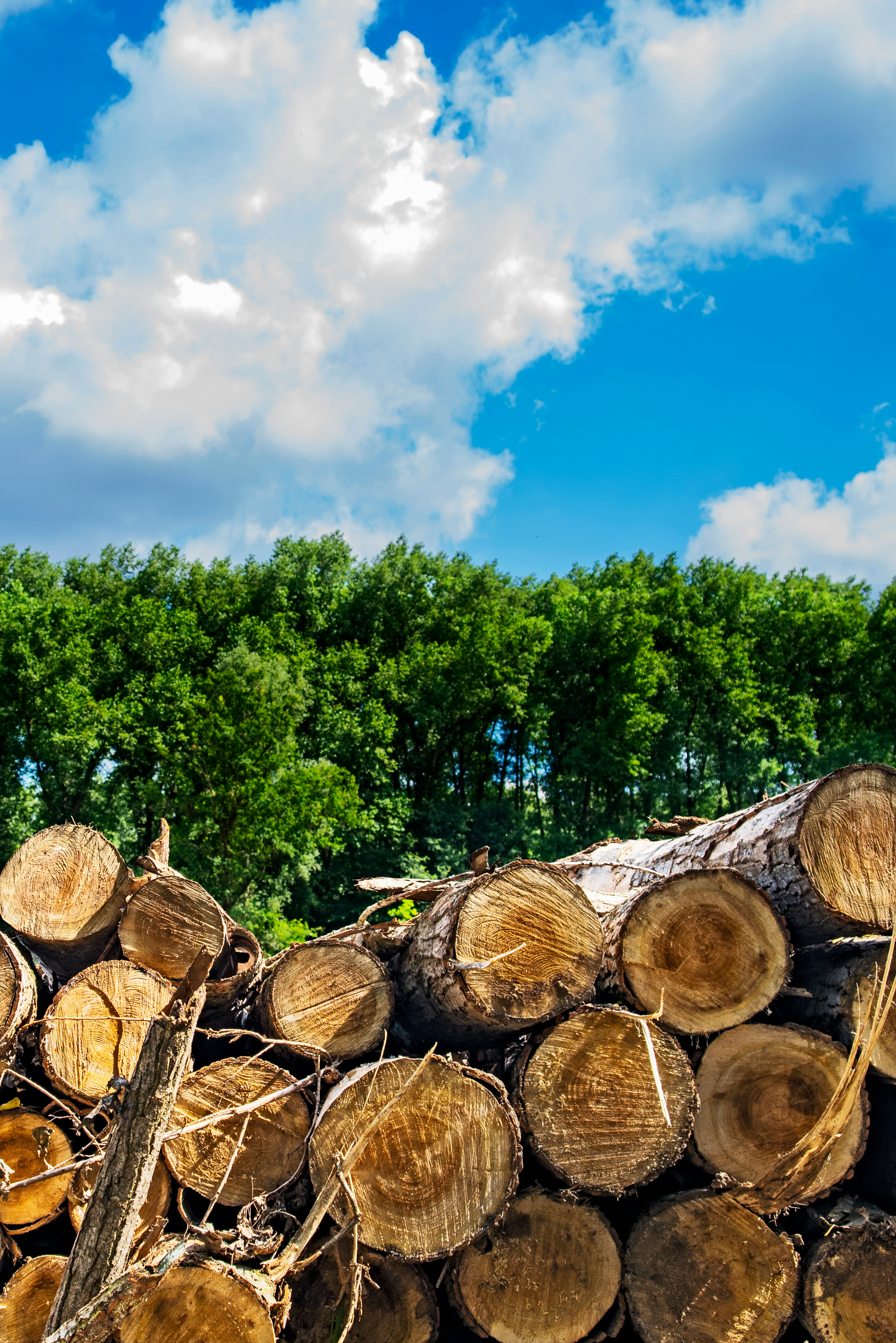 Sustainable Pallet Supplier Since 2000 | AllGoodPallets 4