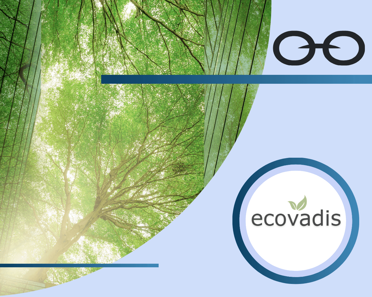 Different components of a supply chain for EcoVadis software