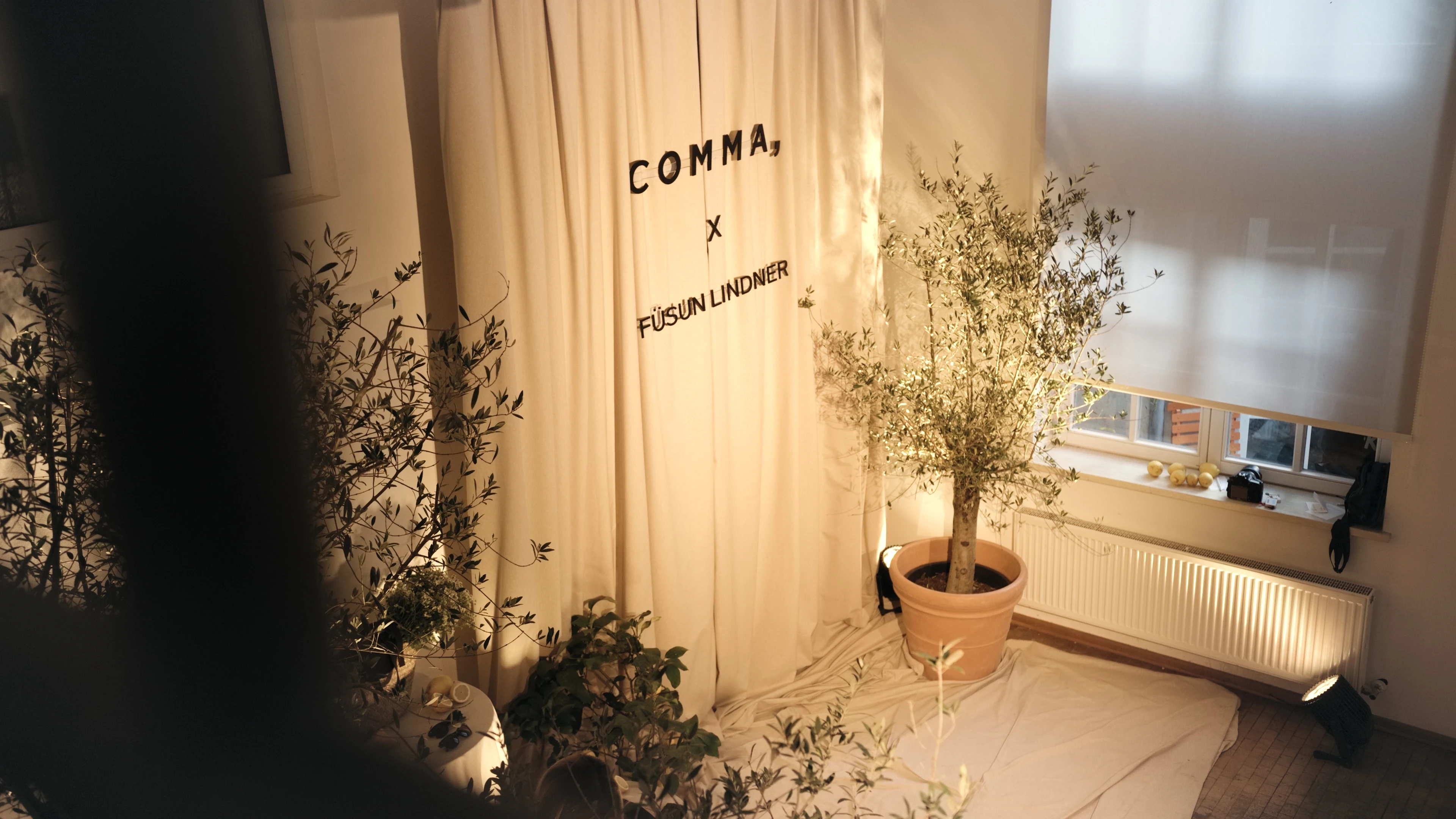 Comma x Füsun Lindner curtain with olive trees and soft daylight at the event entrance.