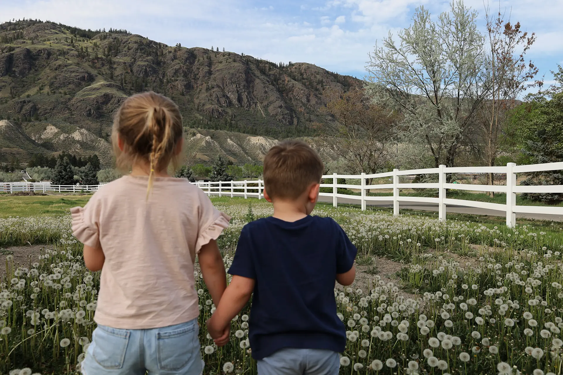 Two children standing hand in hand in a field of dandelions.