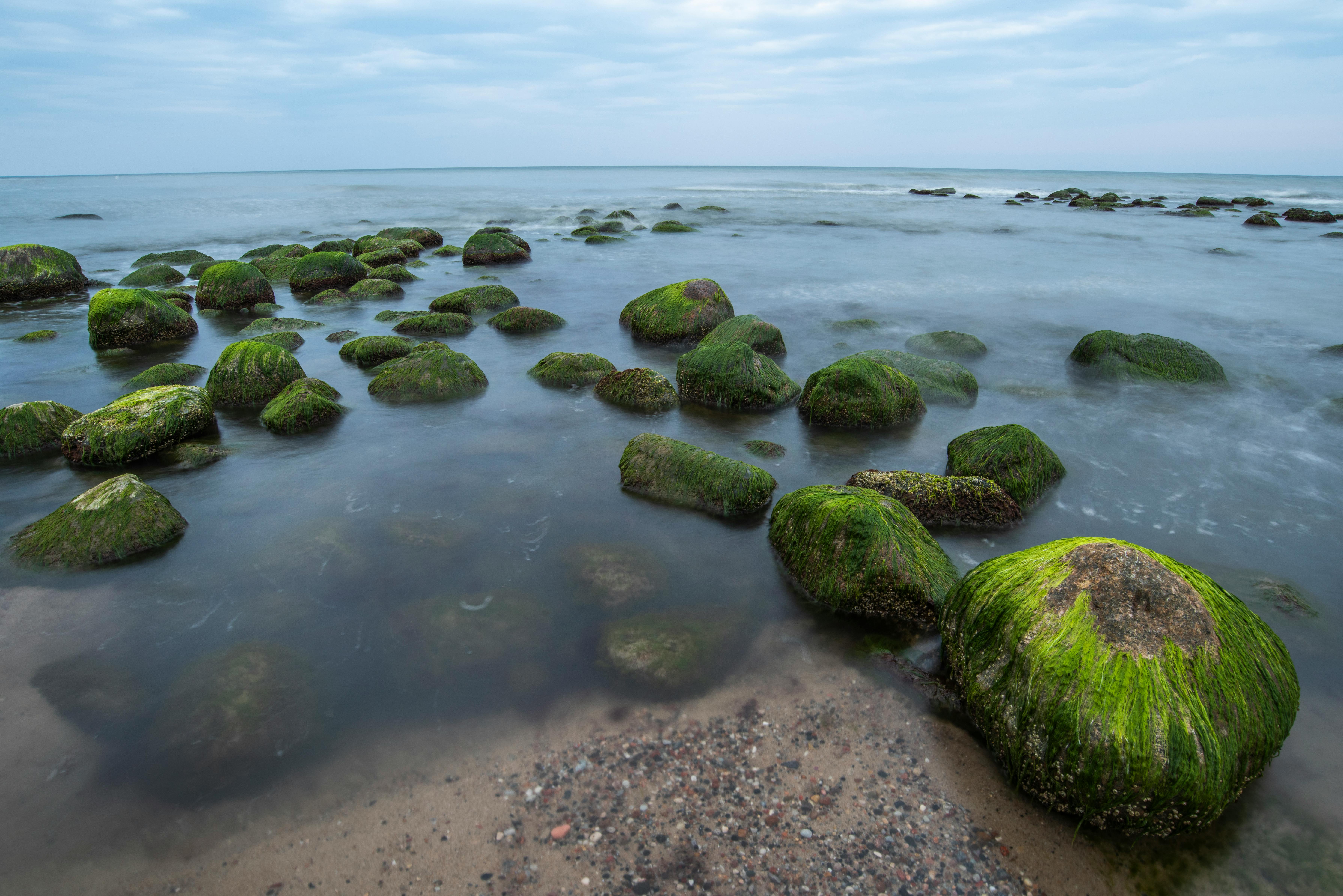 sea with stones