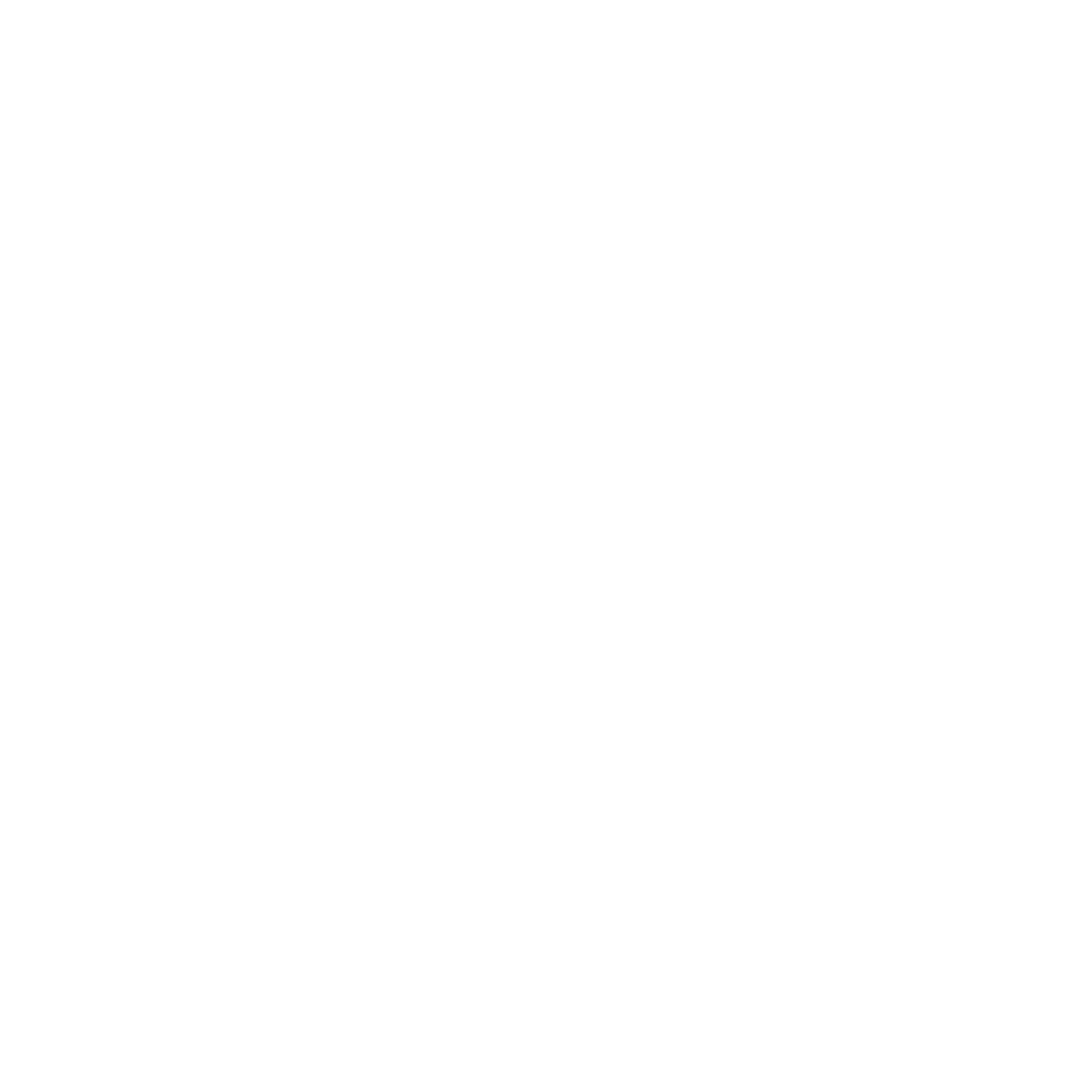 OpenAi 03 mini