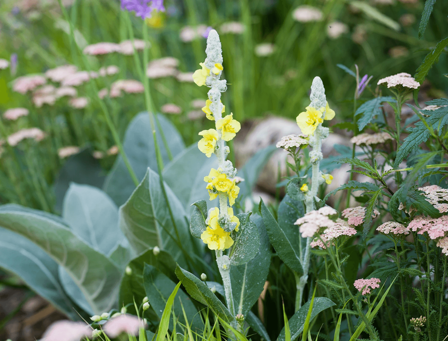 The top half of a screen of a mobile device