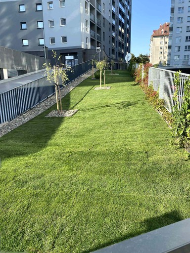 Trawnik przy współdzielni mieszkaniowej