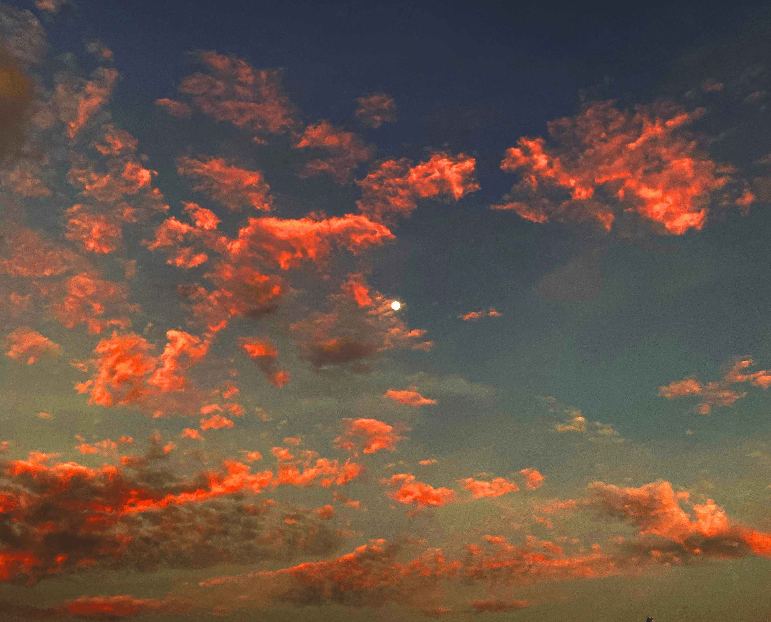 Woman walking along a race track