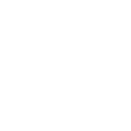 <svg width="42" height="42" viewBox="0 0 24 24" fill="none" stroke="white" stroke-width="1.6" stroke-linecap="round" stroke-linejoin="round"> <path d="M12 2v20M2 12h20"/> <path d="M4 4l4 4M20 4l-4 4M4 20l4-4M20 20l-4-4"/> </svg>