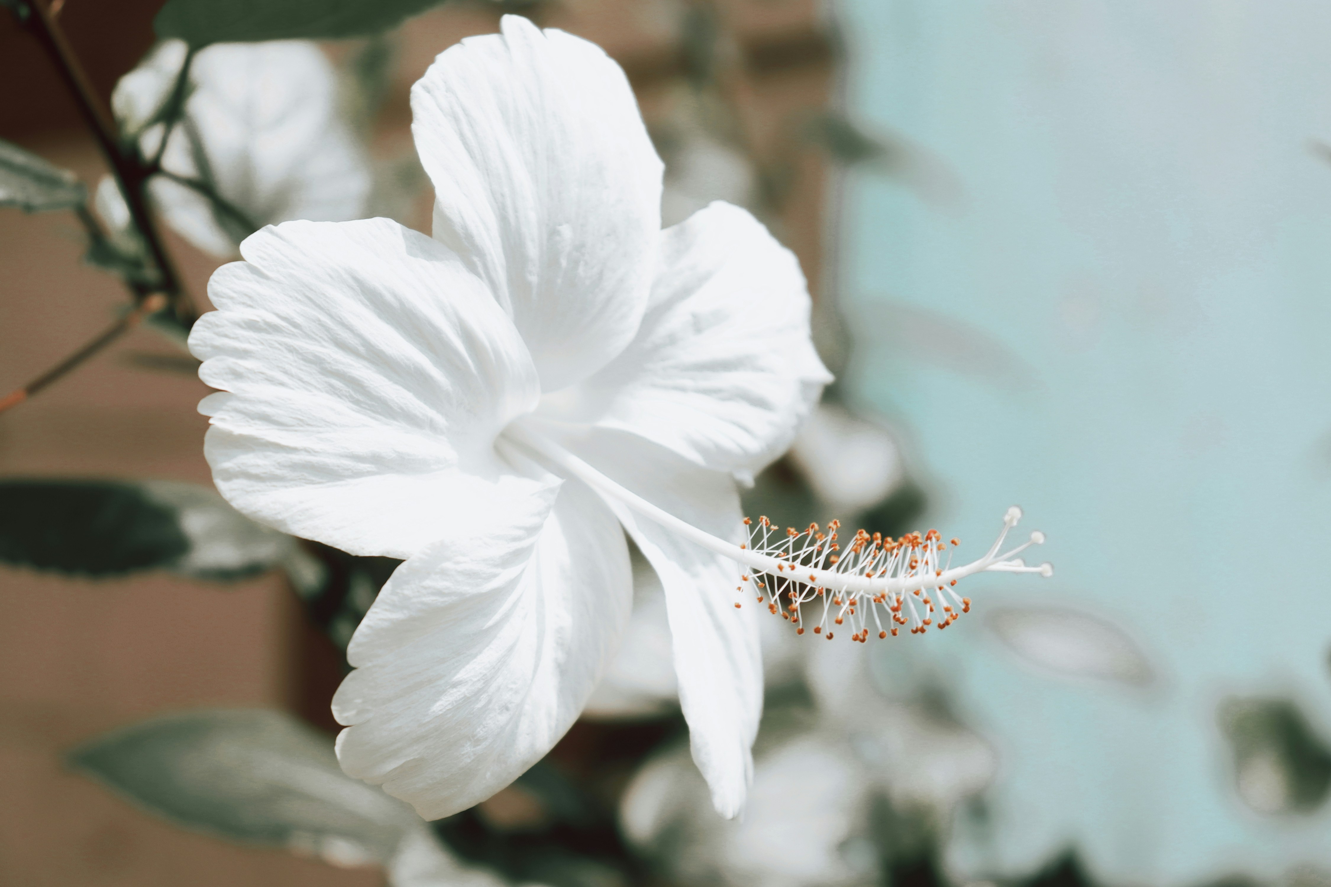 Pensioen voor zzp’ers: waarom beleggen onmisbaar is voor jouw toekomst