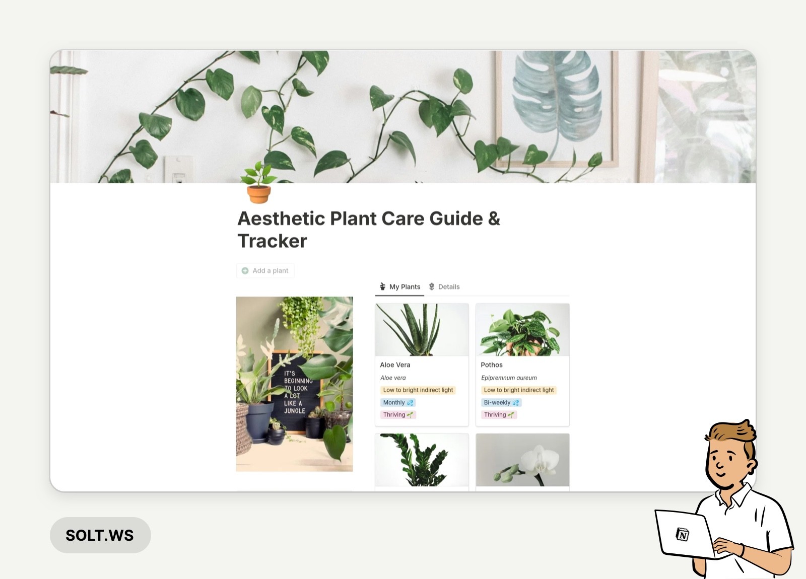 Top 30+ Aesthetic Dashboard Notion Templates