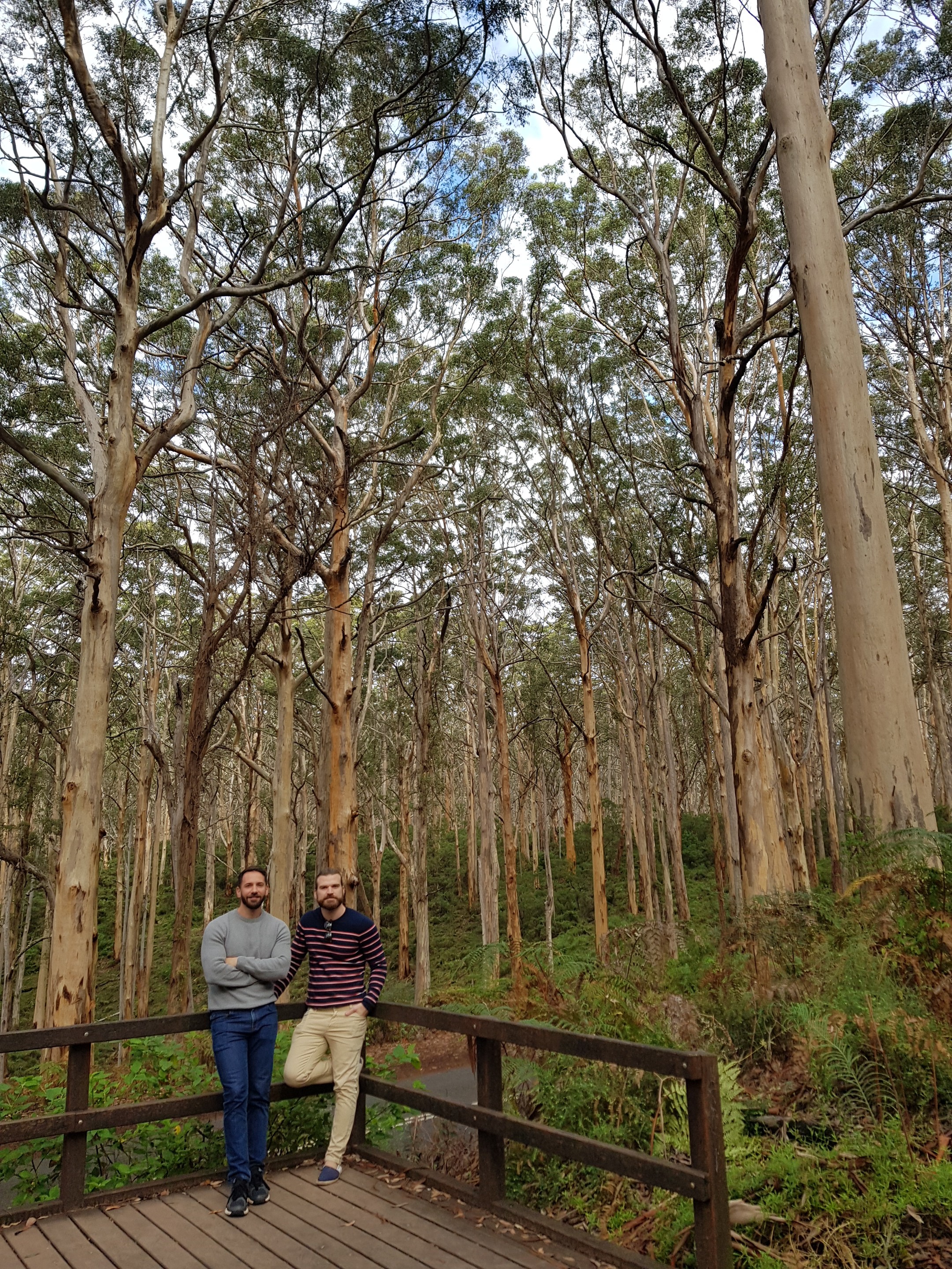 During a nature walk, couple stand in front of majestic Boranup Forest for a photo