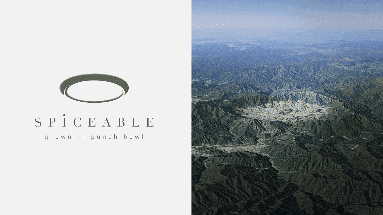 logo with oval shape and typography on white background on the left side and natural landscape on the right side