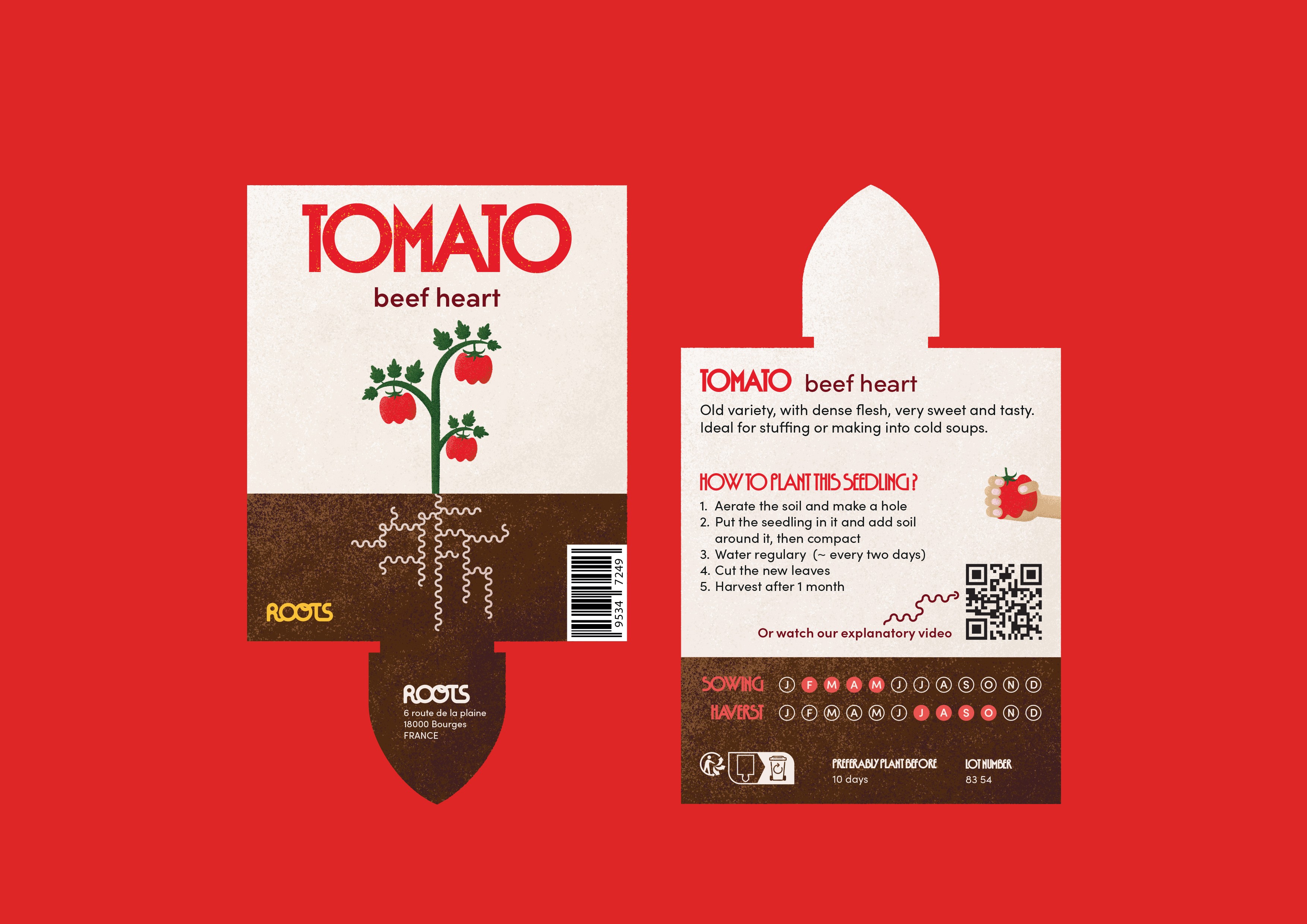 Étiquette plant de tomate