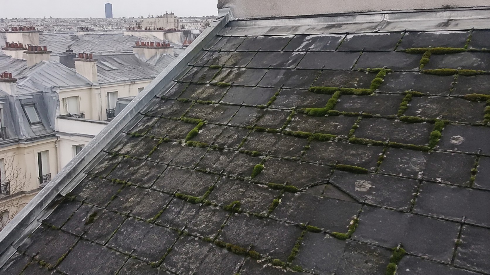 mousse_toiture_ardoise_traitement_risques_prix_paris_panasonic_gh4