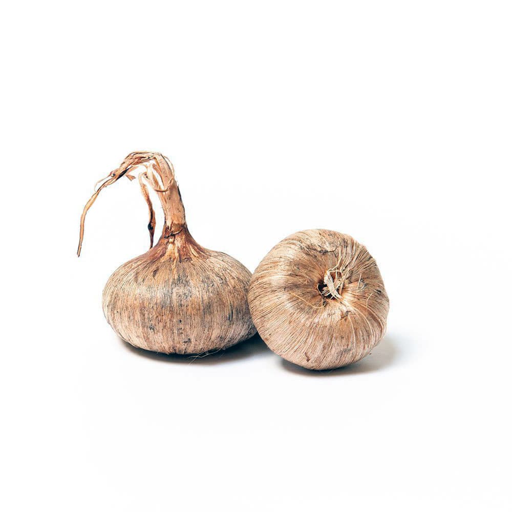 Bulbi șofran Românesc