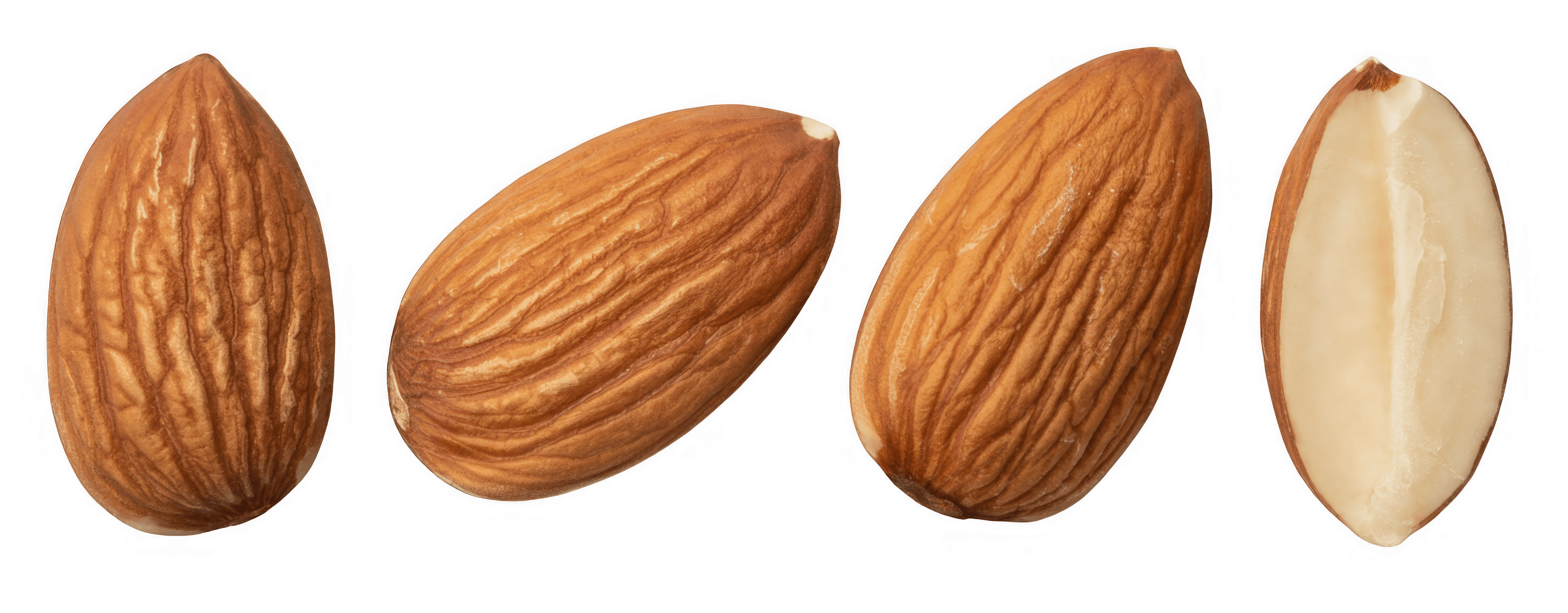 four stages of almonds