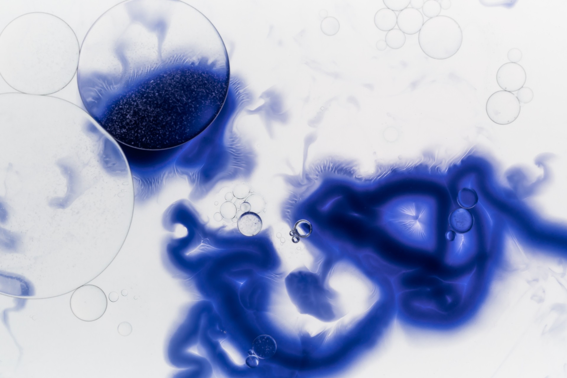 Organic Ink Simulation