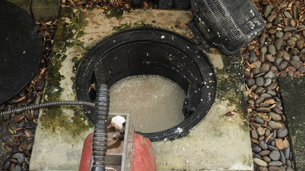 Expert Plumber