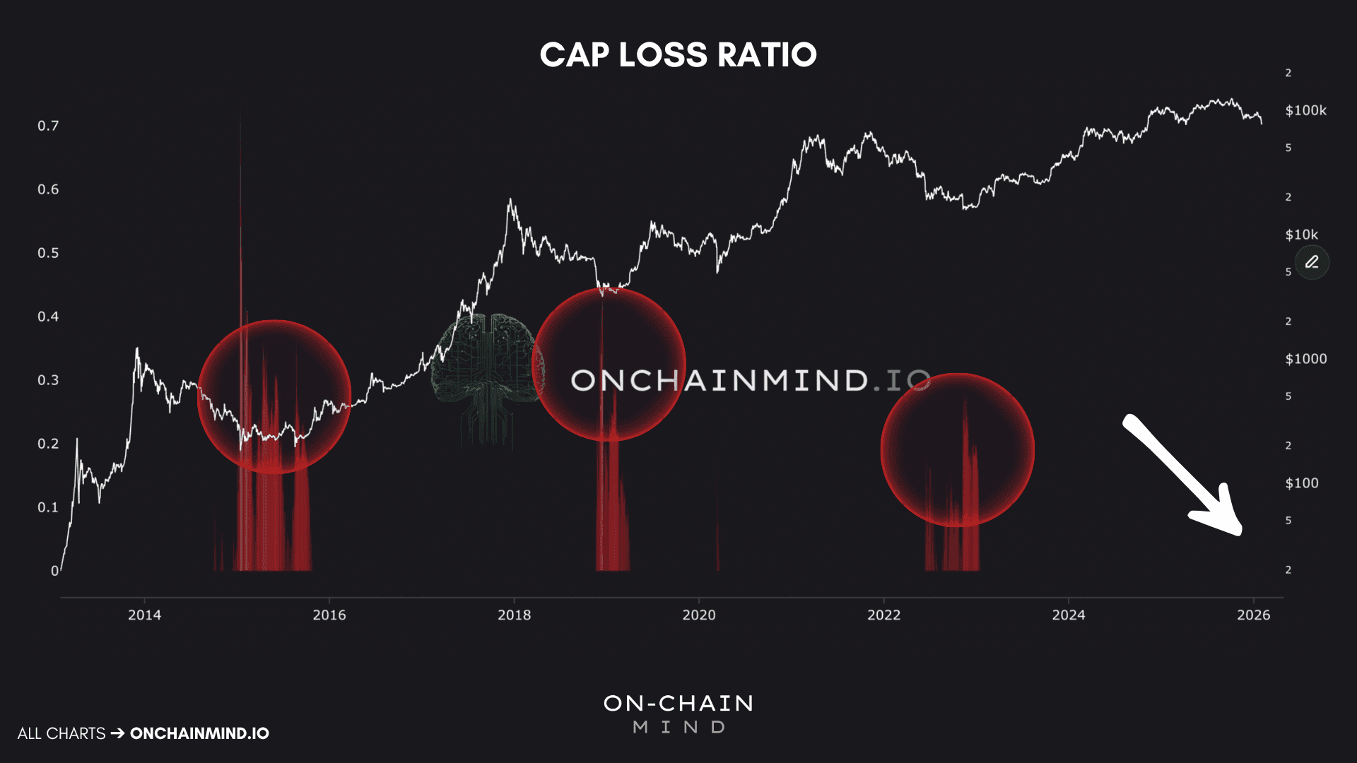 Bitcoin Cap Loss Ratio