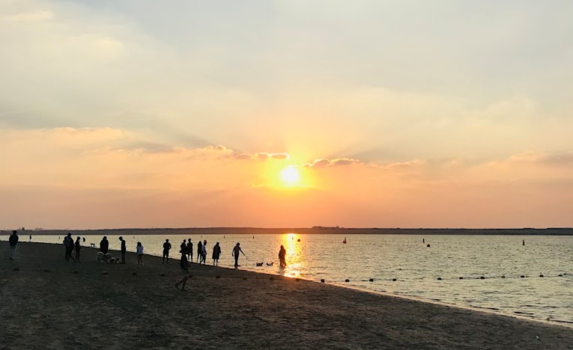 Dubai Islands Beach Dog Park