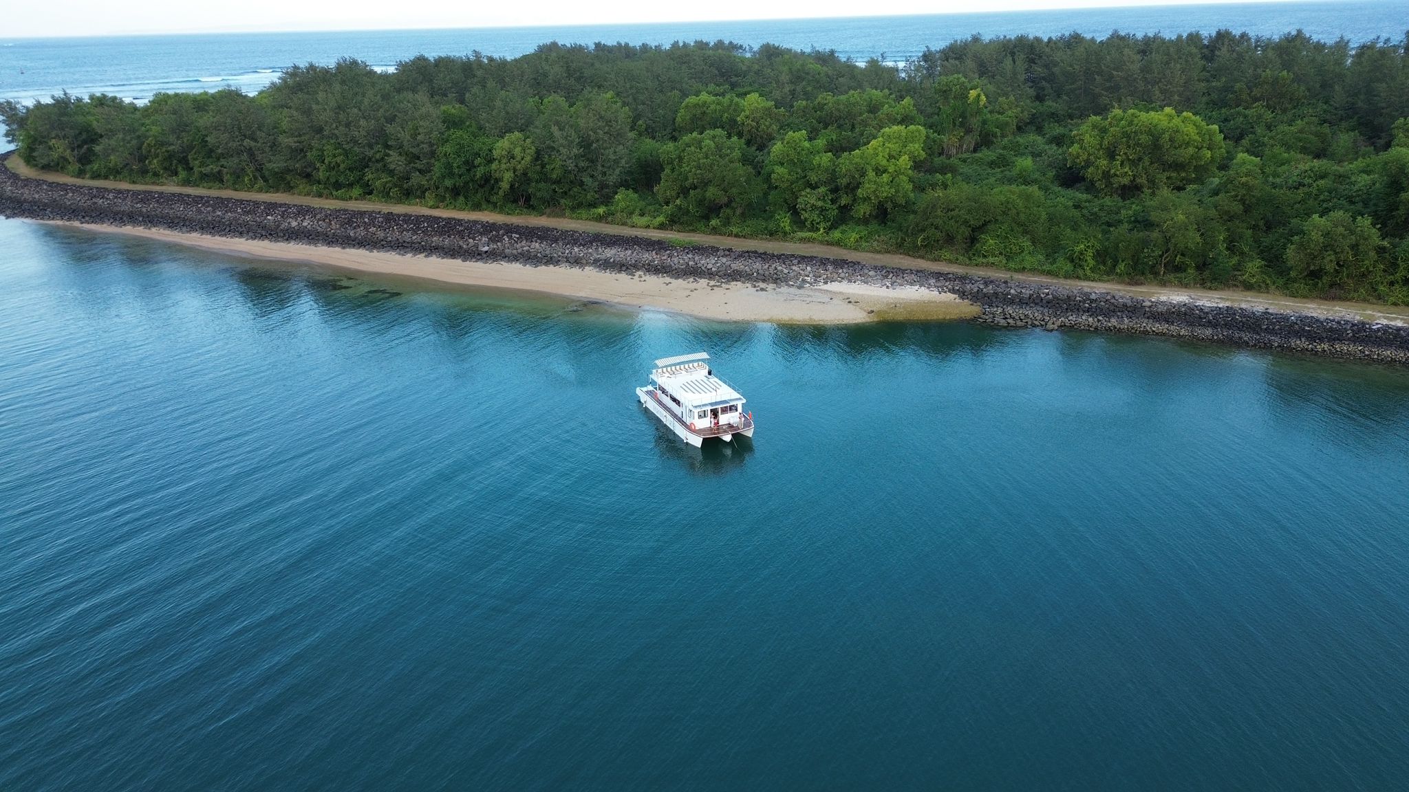 Catamaran 50