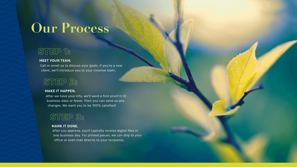 Our process