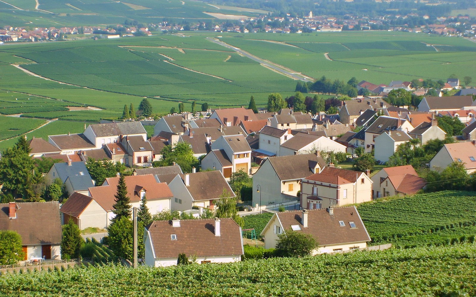 Vineyards and village in Hautvillers, Champagne region, France.
