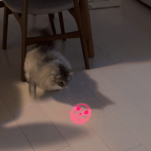 Finding the Right Toy for Your Cat