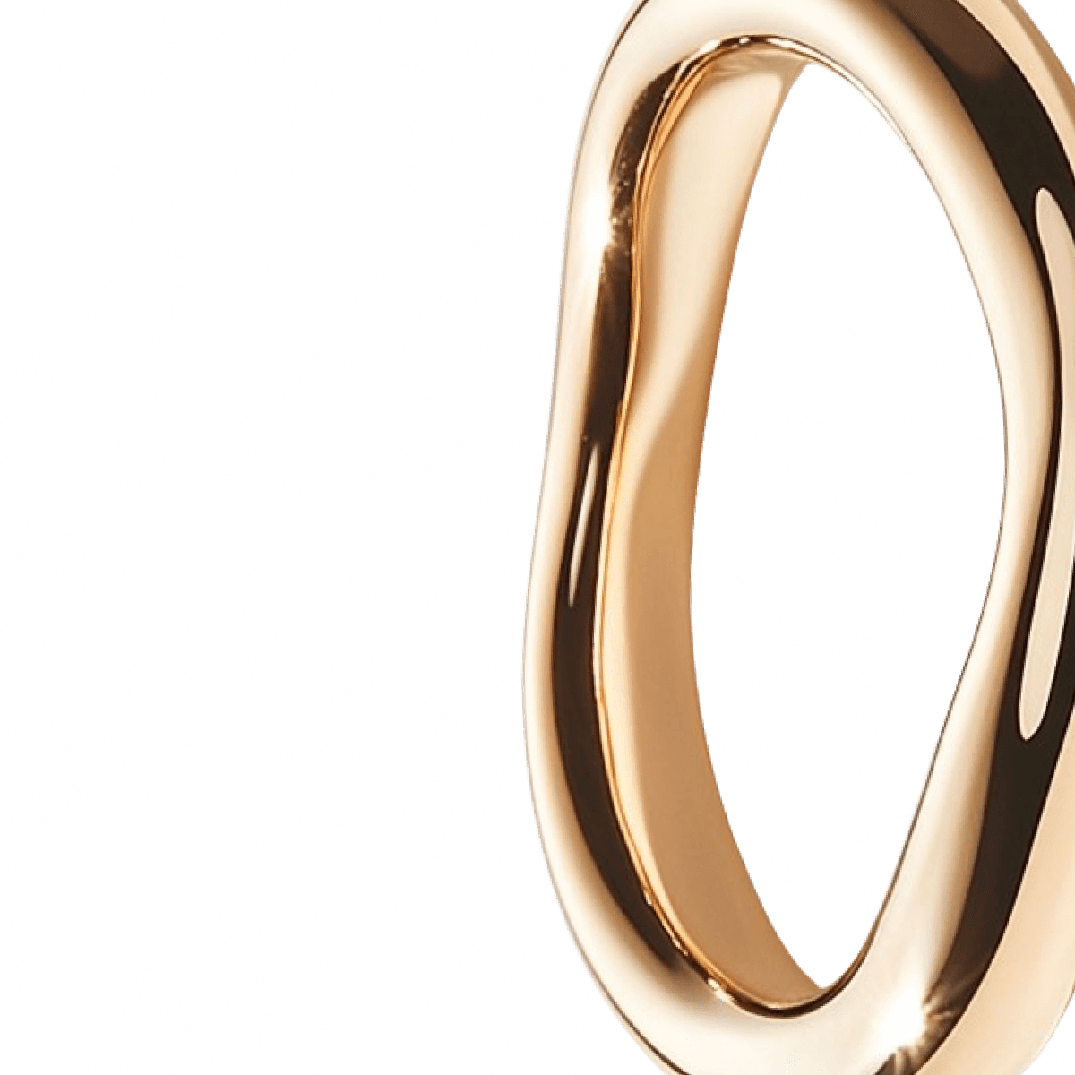 Perfect_Loop_Ring-02