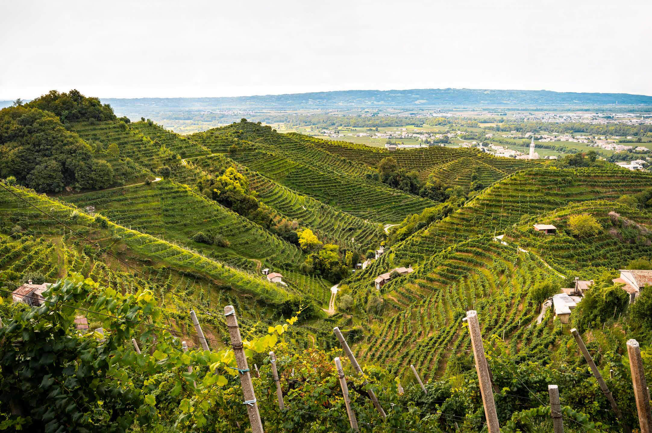 selective focus photography of bottles