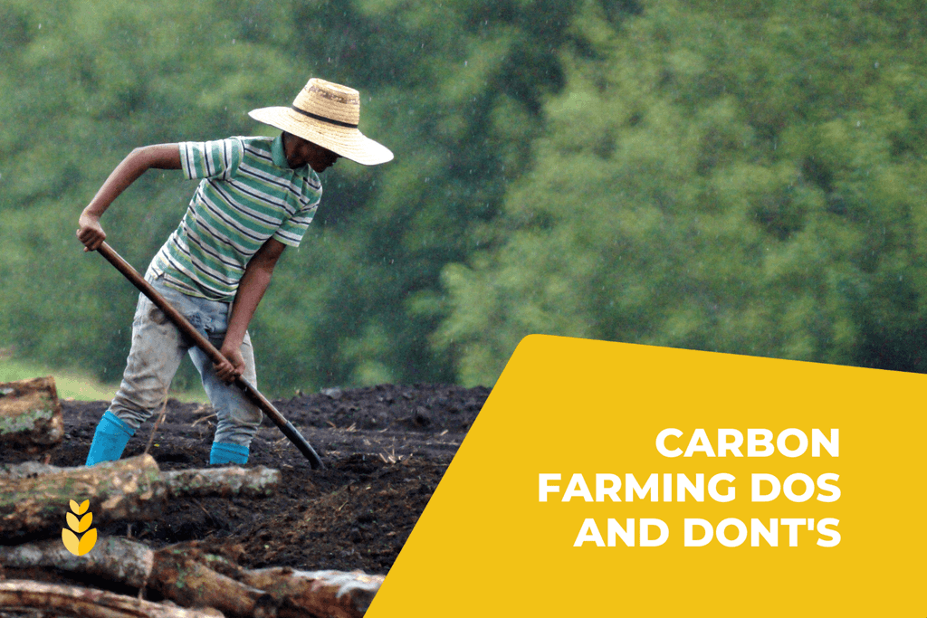 Carbon Farming — eAgronom Blog