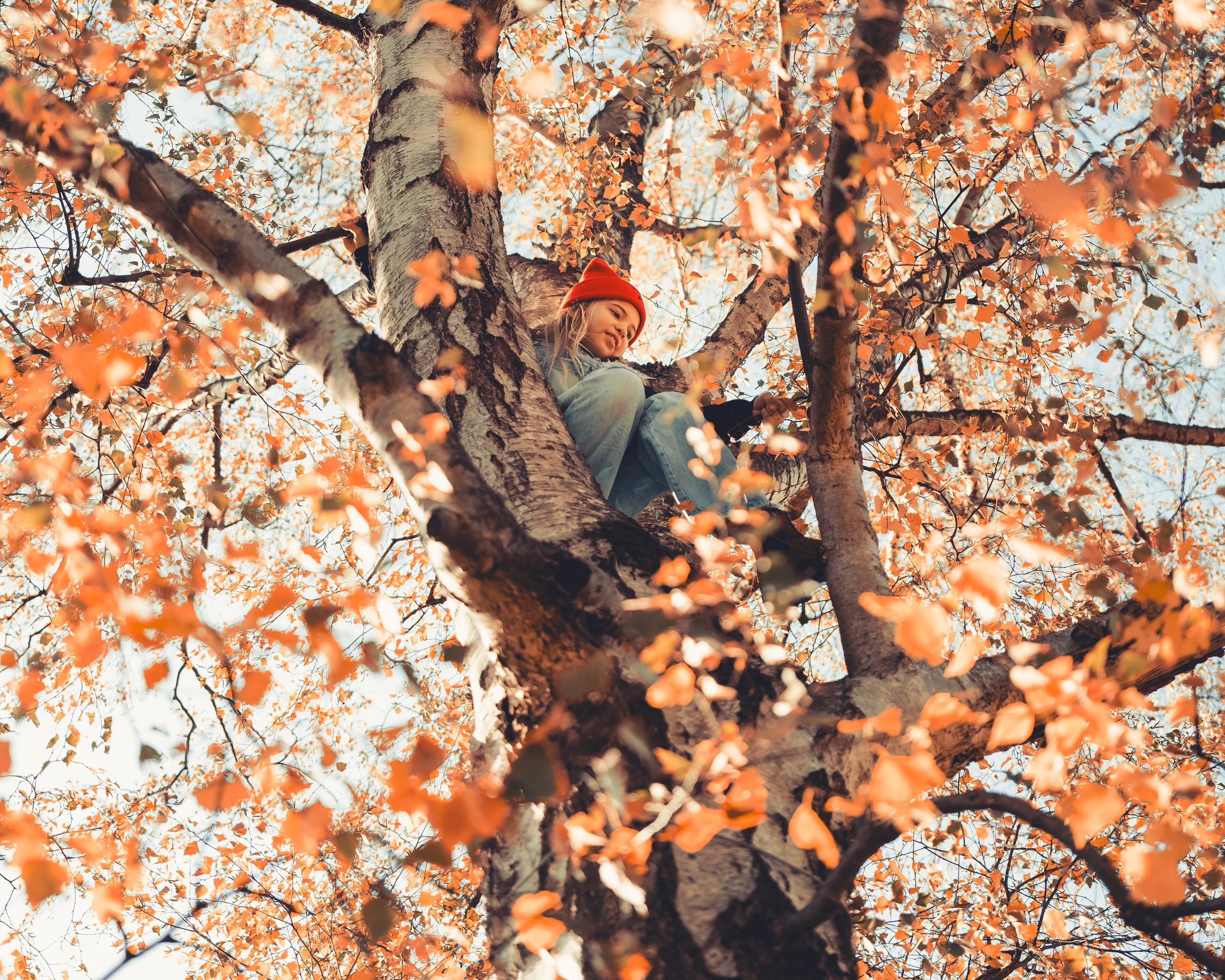 Wolf Children - Presets