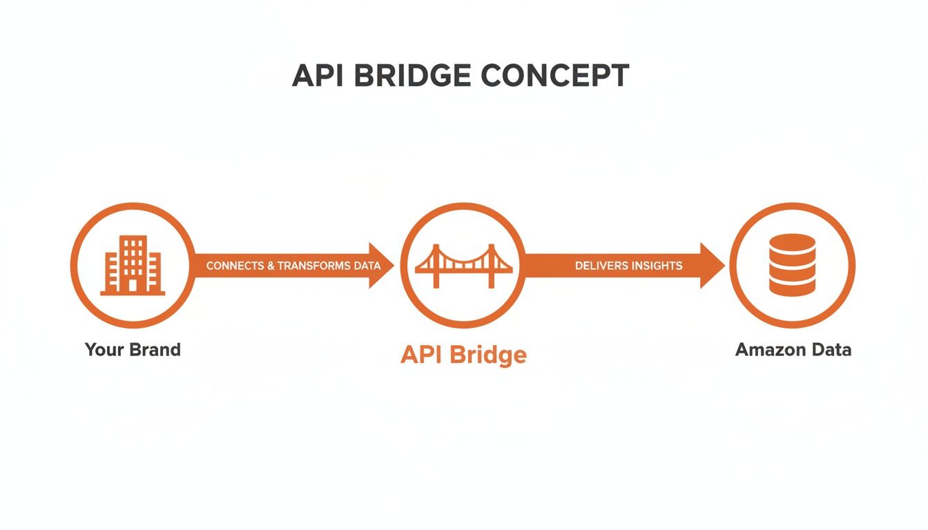 Diagram illustrating the API Bridge concept, connecting brand data and delivering insights to Amazon.